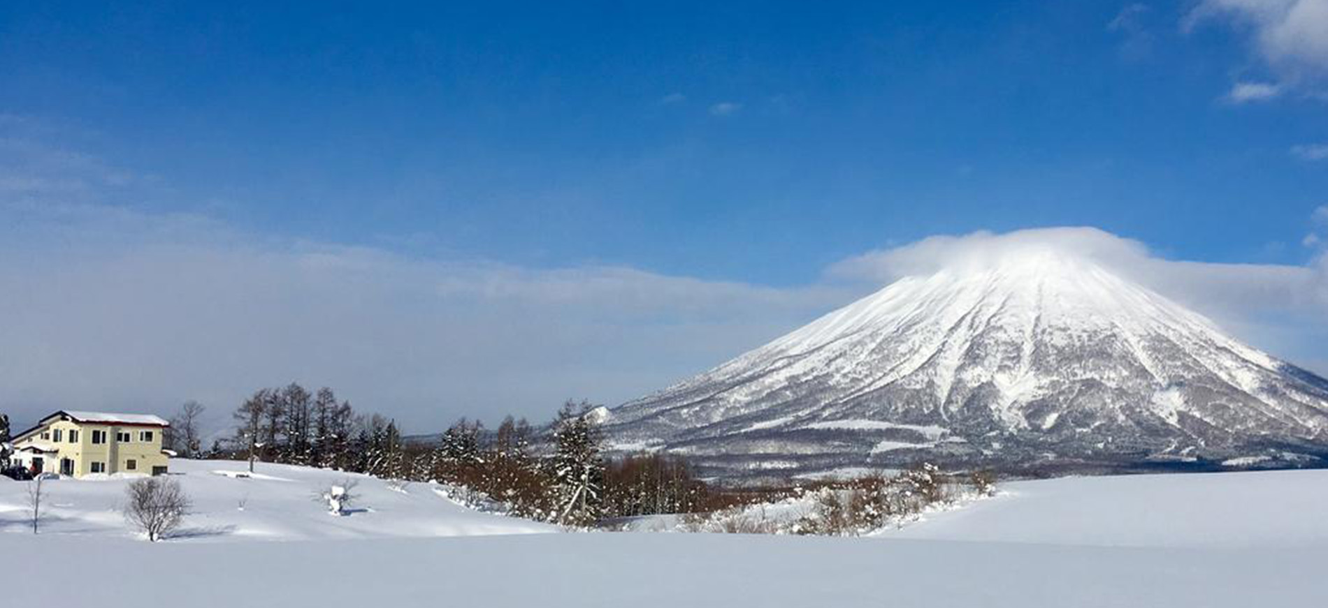 Rusutsu Holiday Contact